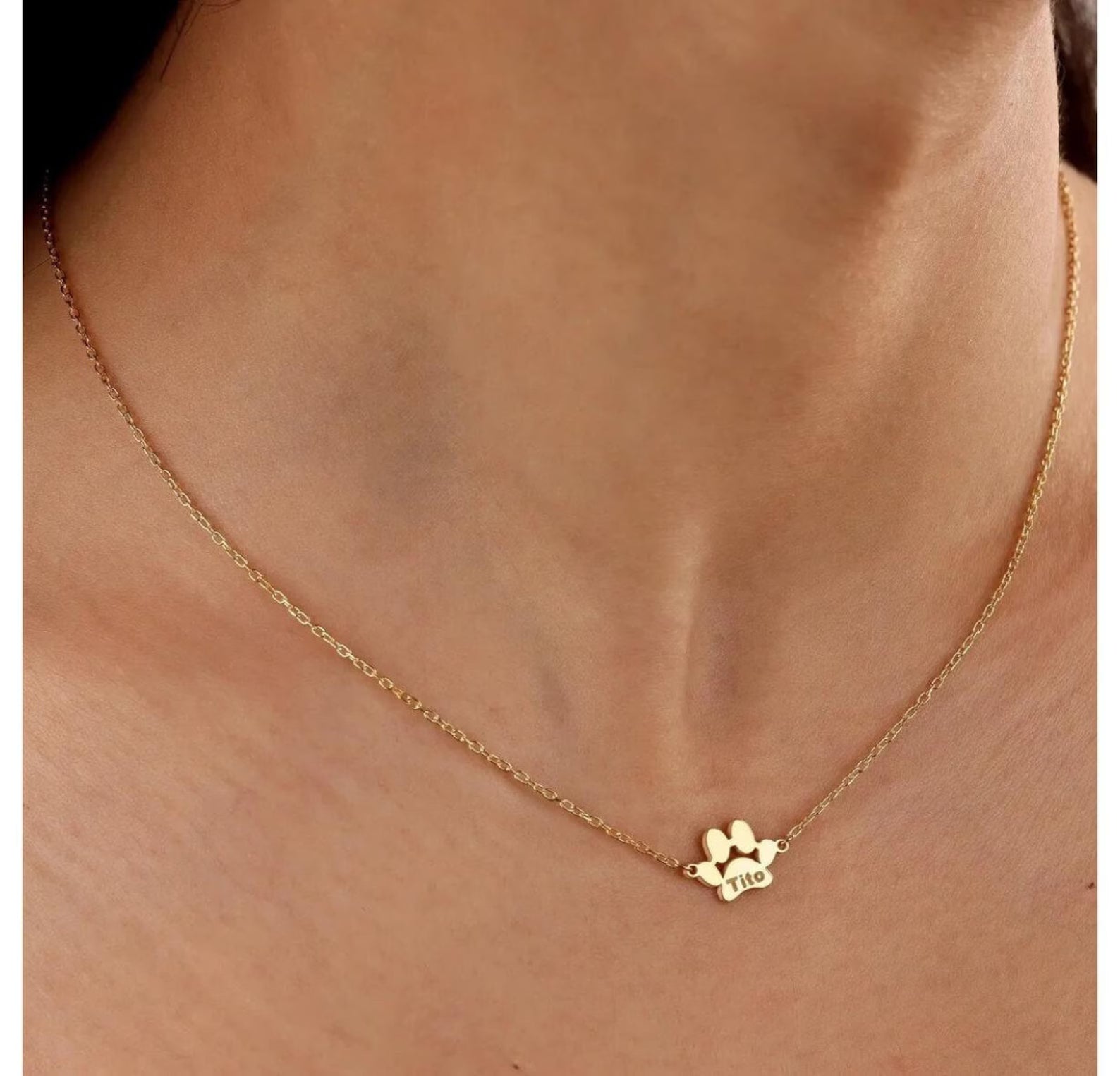 Colier Lăbuță Catel Personalizat Placat cu Aur 18K - Sentimente Gravate